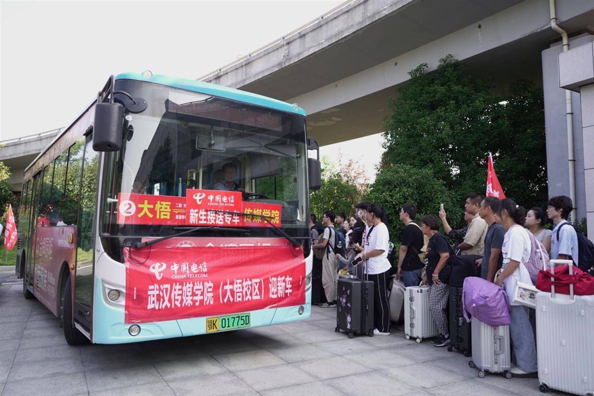 押庄龙虎游戏